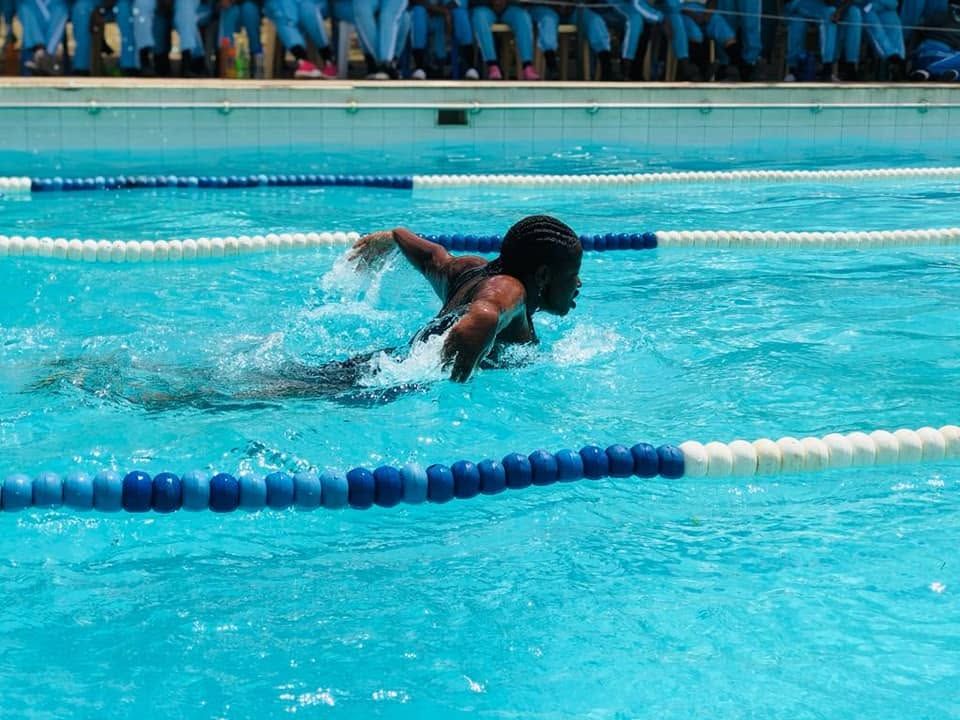 Swimmers racing in lanes